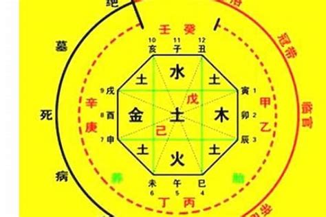 土有利|如何确定八字喜用神 – 八字喜用神的取用技巧